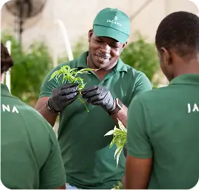 sustainable production